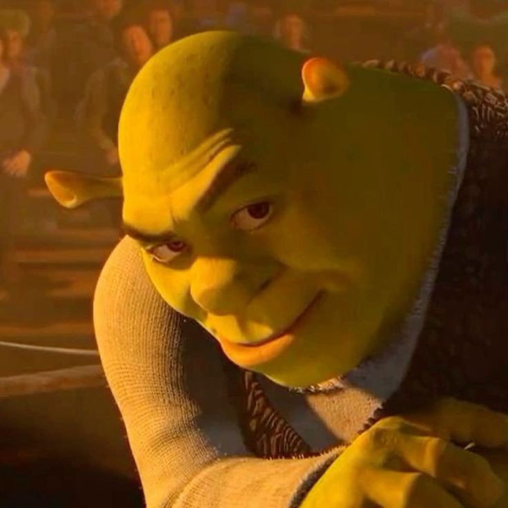 funny quote from shrek funny quote from shrek