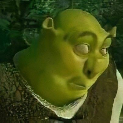 funny quote from shrek funny quote from shrek
