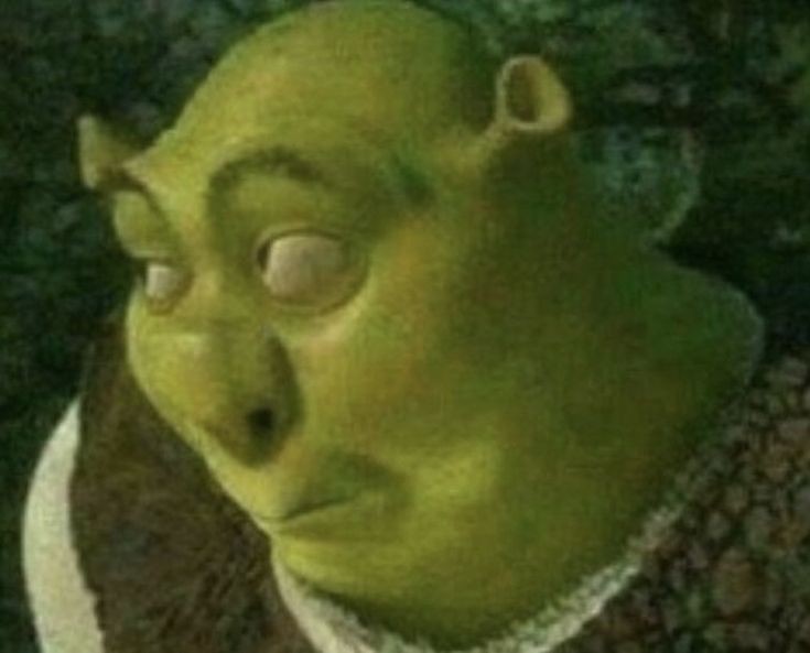 funny things about shrek funny things about shrek