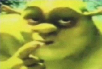 funny things about shrek funny things about shrek