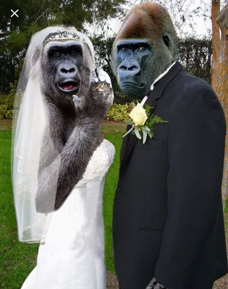 goofy ahh ai generated images