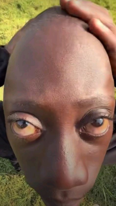 goofy ahh anime pictures funny