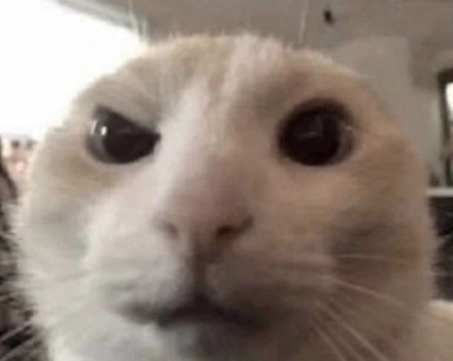 goofy ahh avatar meme