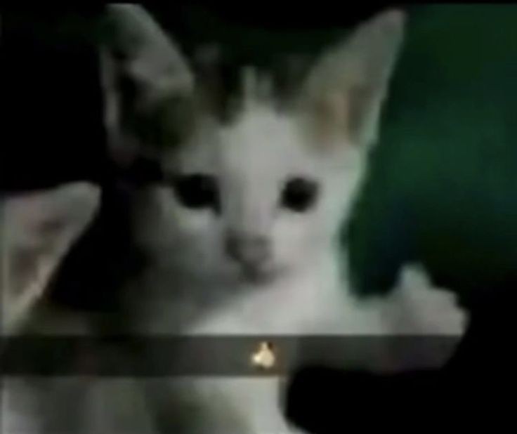 goofy ahh baby wallpaper