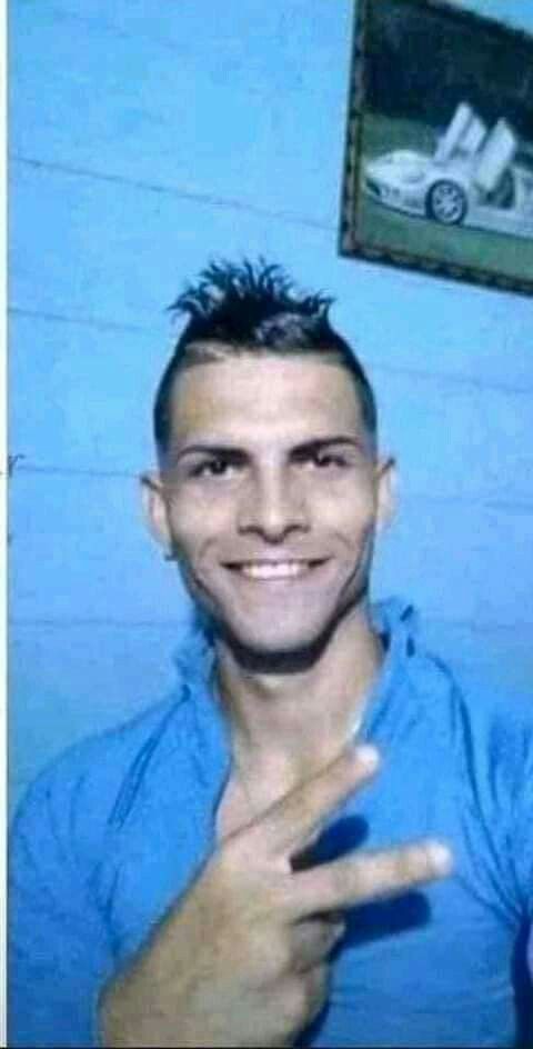 goofy ahh bee wallpaper