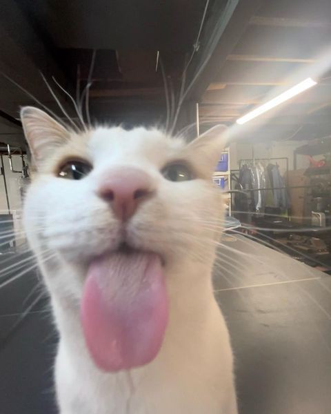 goofy ahh black guy wallpaper