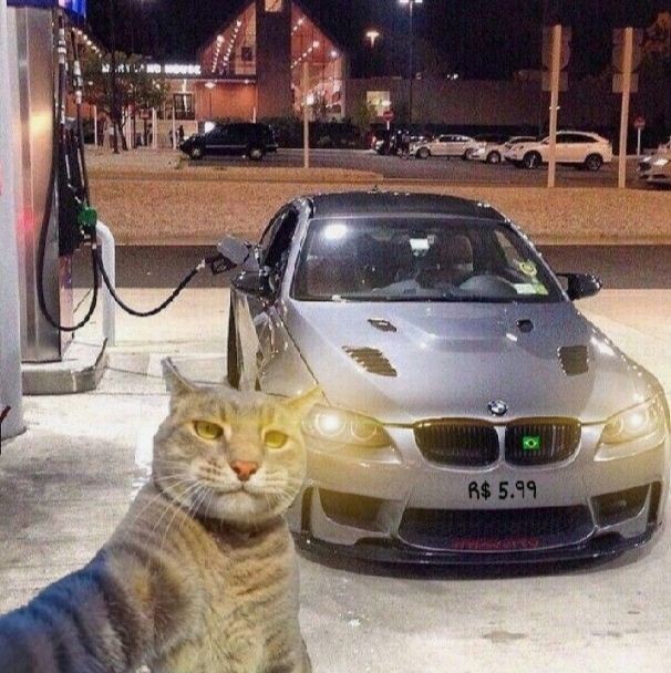 goofy ahh car memes goofy ahh car memes