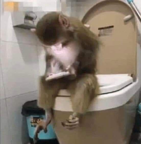 goofy ahh monkey cartoon goofy ahh monkey cartoon
