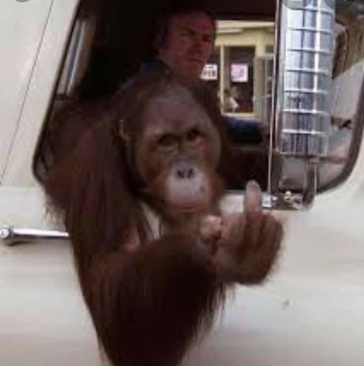 goofy ahh pfp for discord