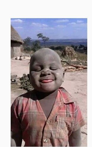 goofy ahh photos of shrek