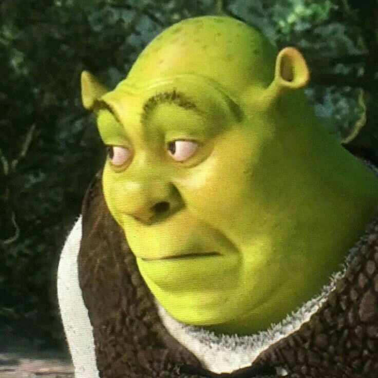 goofy ahh pics of shrek goofy ahh pics of shrek