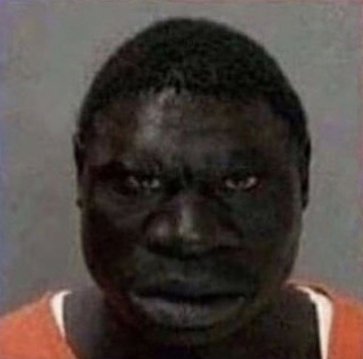 goofy ahh pictures cat