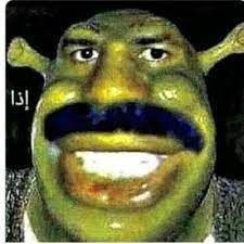 goofy ahh pictures cat