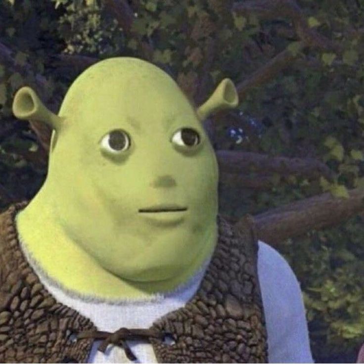 goofy ahh pictures shrek goofy ahh pictures shrek
