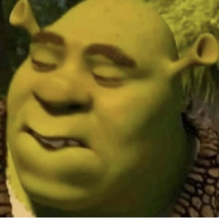 goofy ahh shrek cake goofy ahh shrek cake