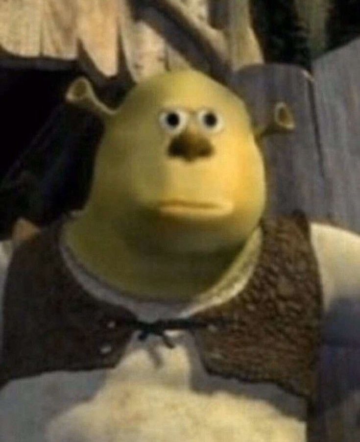 goofy ahh shrek photos goofy ahh shrek photos