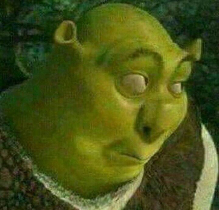 goofy ahh shrek pics goofy ahh shrek pics