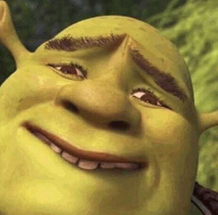 goofy ahh shrek pictures goofy ahh shrek pictures