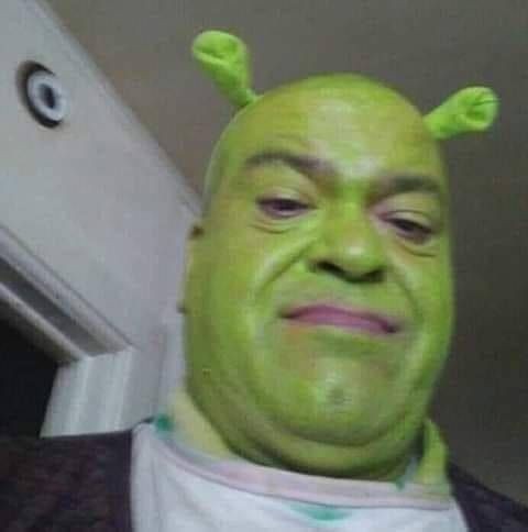 goofy ahh shrek pictures goofy ahh shrek pictures