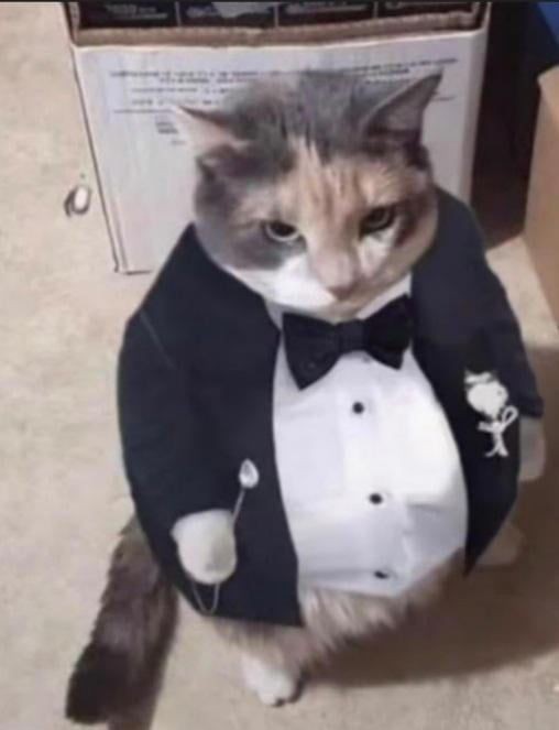 goofy cat names