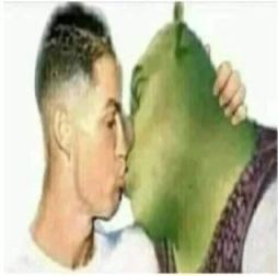 shrek goofy ah shrek goofy ah
