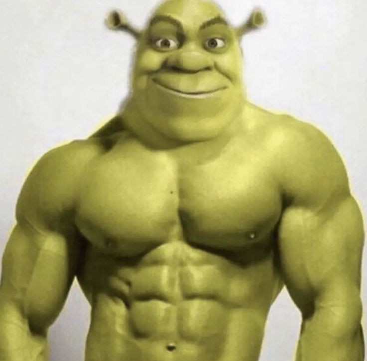 shrek goofy ah shrek goofy ah