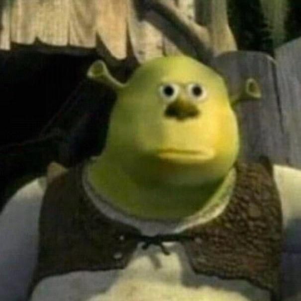shrek goofy ah shrek goofy ah