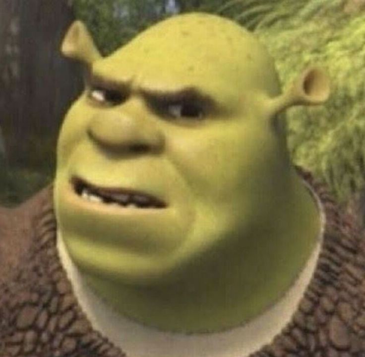 shrek goofy ahh gif shrek goofy ahh gif