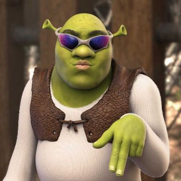 shrek goofy ahh gif shrek goofy ahh gif