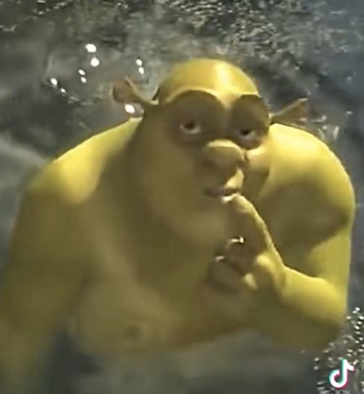 shrek goofy ahh wallpaper shrek goofy ahh wallpaper