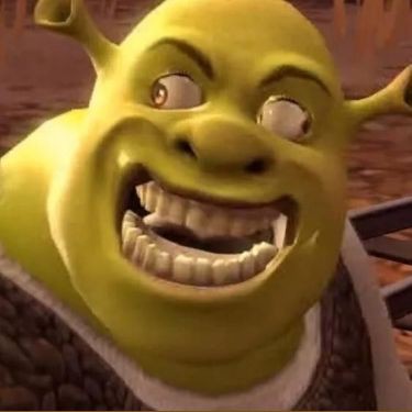 shrek goofy ahh shrek goofy ahh