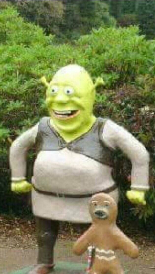 shrek goofy ahh shrek goofy ahh