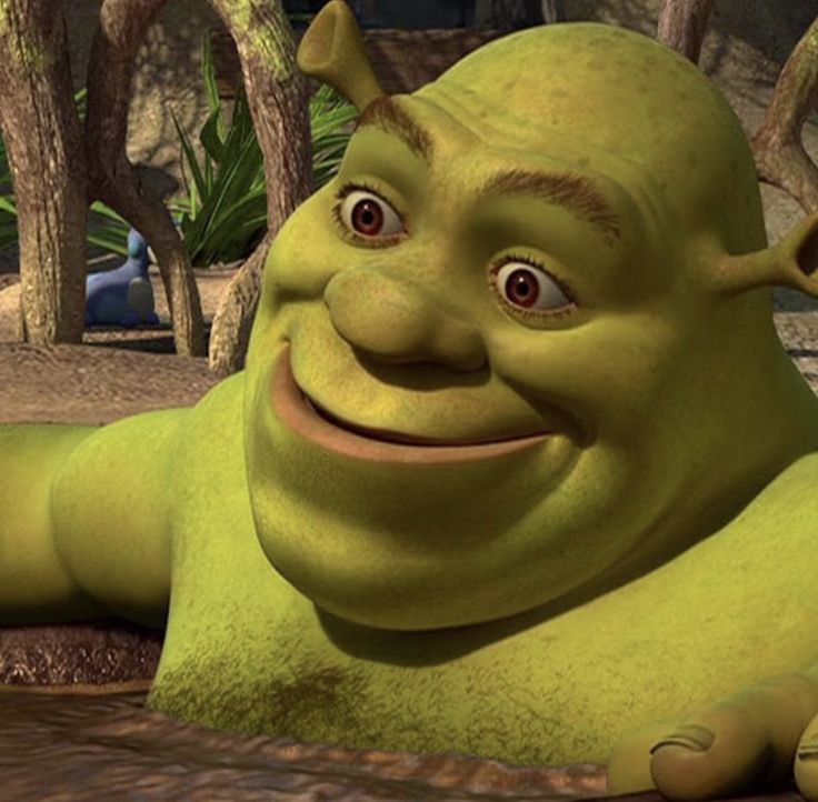 shrek goofy face shrek goofy face