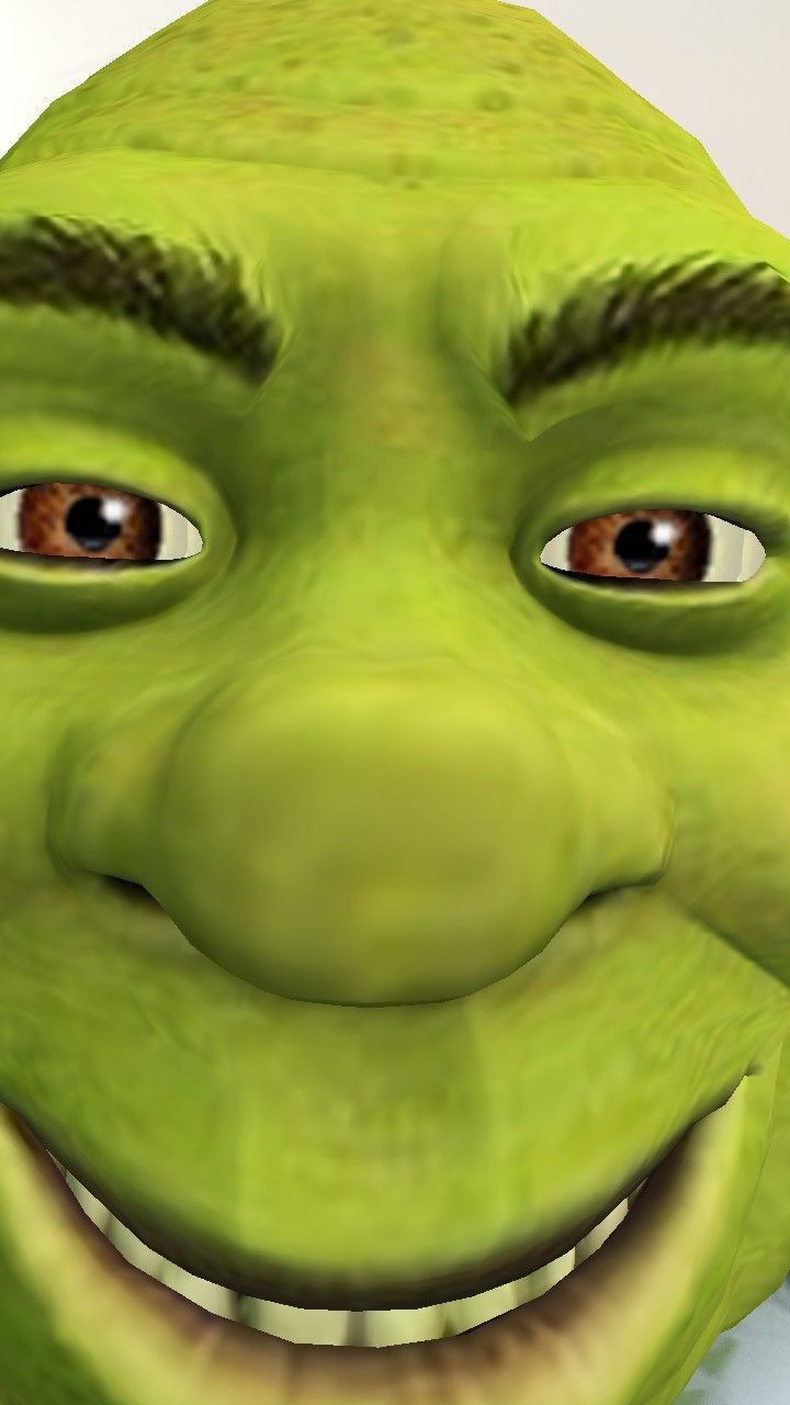 wallpaper goofy ahh pictures shrek wallpaper goofy ahh pictures shrek