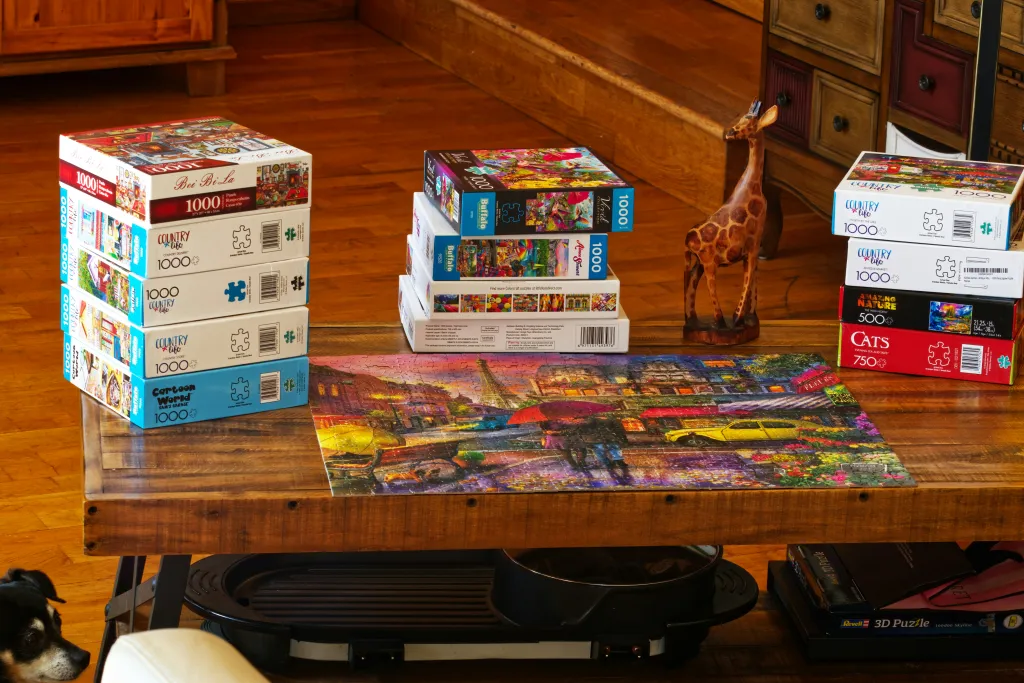 The Fascinating World of Puzzles