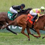 What Makes A Horse Racing Pick Actually Reliable